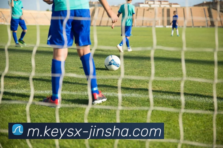 澳门金沙官网平台生态图